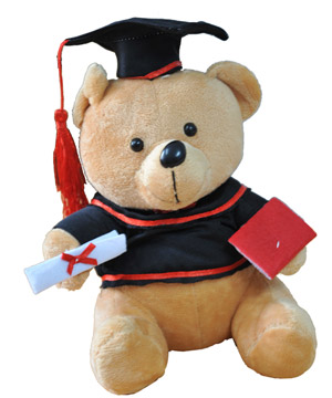 Gấu bông Teddy tốt nghiệp giá sỉ lẻ toàn quốc